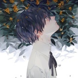 炸毛鱼
