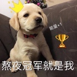 围墙塌了