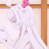 棉花