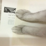 达林日记