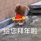 岁月随遇而安梦