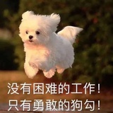 衣书