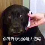汽水
