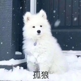 涂梓