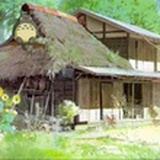屋里有龙猫