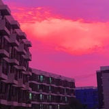 全力松