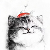 猫有好多鱼