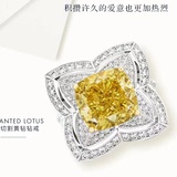 可爱的臭虫