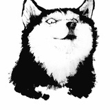 三三四四