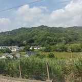 言