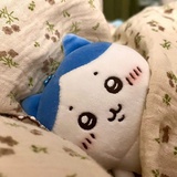 怀云