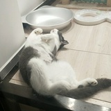 谁还不是小可爱