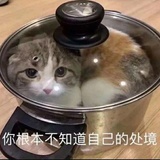 咸鱼sama