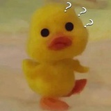 时常被无语到