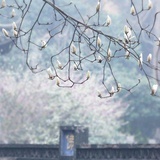 相闻