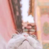 往死里学