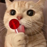 撒欢儿