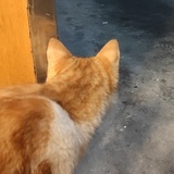 十四要听话