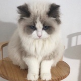 布袋有口袋