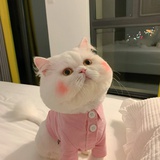 小眼睛👀
