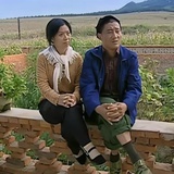 小柏小柏