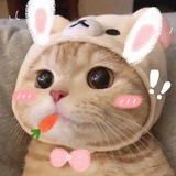 777