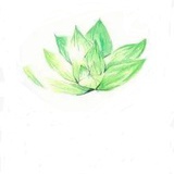 成臣