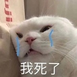 aoeiuü