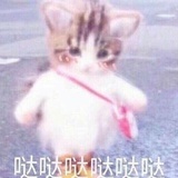 东坡居士