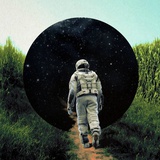 行走在岸上的鱼