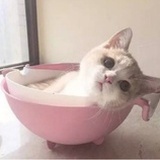 已注销