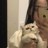 泡椒猪皮