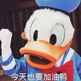玺烊烊DD