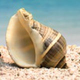 衡水市作家协会