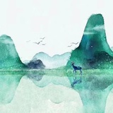 A老可爱