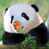 举人