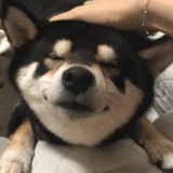 已埋勿扰