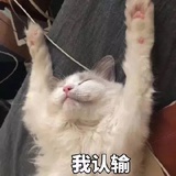哼哼哈嘿