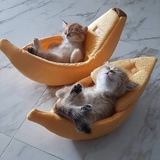 🐷咪的🐱