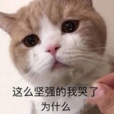 已注消