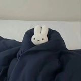 兔丸子