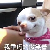 柿子zzz