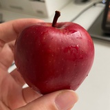 巴特勒太太