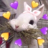 写悬疑的胆小鬼