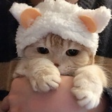 一碗快乐