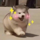 摸鱼并快乐