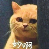 曦