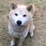 优优