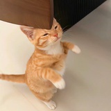 快乐星球