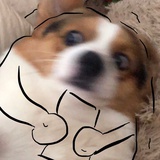 咕噜咕噜